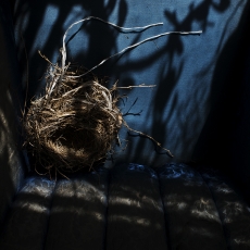 5-MollyLamb_Untitled4_FromTakeCareOfYourSister_2015_1900