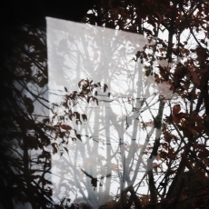 6-MollyLamb_Untitled27_FromTakeCareOfYourSister_2015_1900