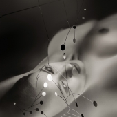 Constellation