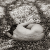 Myths, Untitled 1 (Prunus Kwanzan Petals)
