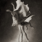 Myths, Untitled 11