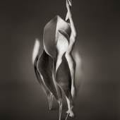 Myths, Untitled 6
