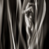 Myths, Untitled 7 (Devil's Tongue)