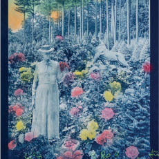 Mythic Nature © By Sally Chapman