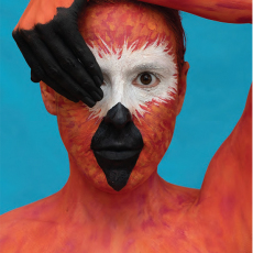 Zoomorphics © by Shelby Meyerhoff