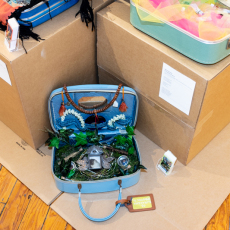 Humara (ours) #1 from the Suitcase Series