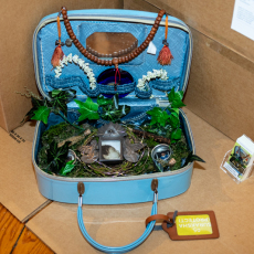 Suraksha (Protect) #5 from the Suitcase Series