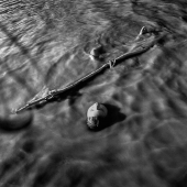 Emily Schiffer - Float