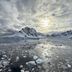 Awakening  © by Paula Laverty