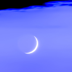 Blue Moon  © by Paula Laverty