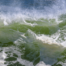 Crescendo  © by Paula Laverty