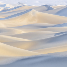 Mesquite Dunes © by Paula Laverty
