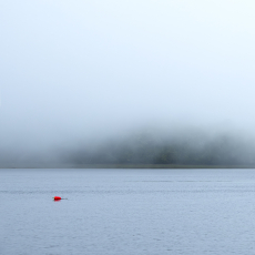 Red Bouy © by Paula Laverty