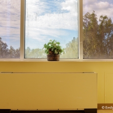 Laux_000398_670991_207568_5616