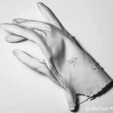 Parvin_000510_663344_197525_5616