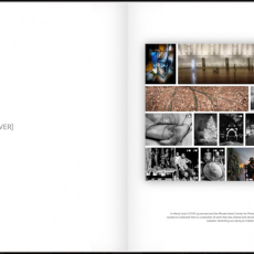 Print-Share-Peer-Review-COVID-19-2