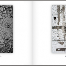 Print-Share-Peer-Review-COVID-19-33