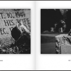 Print-Share-Peer-Review-COVID-19-44