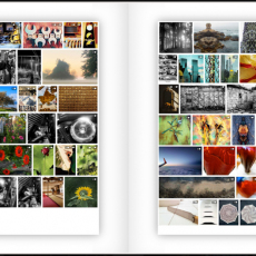 Print-Share-Peer-Review-COVID-19-48
