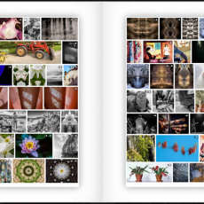 Print-Share-Peer-Review-COVID-19-49