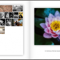Print-Share-Peer-Review-COVID-19-51