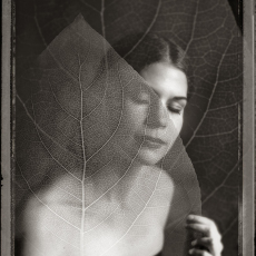 Untitled (Veil) from the Myths series