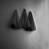 Roma Study #8