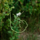 Delightful detail