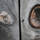 Texture , line, shape