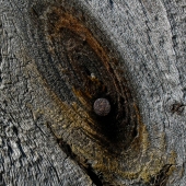 Texture , shape