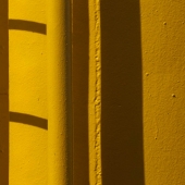 Color, line, texture, shape