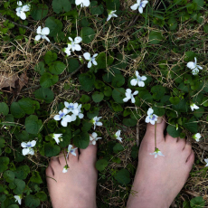 Barefoot Afternoon from the series Myth, Memory & Violets by Marcy Juran
