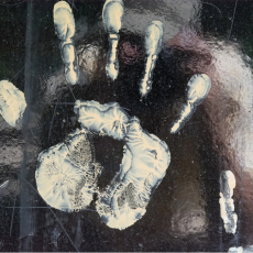 White Hand on Glossy, from the series The hand is us by Peter Baumgarter