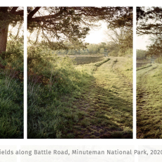 Fields Along Battle Road
