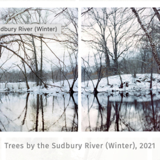 Trees by Sudbury River Winter