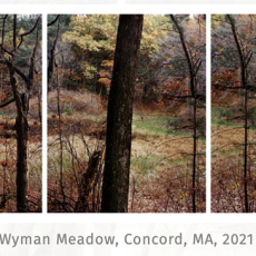 Wyman Meadow