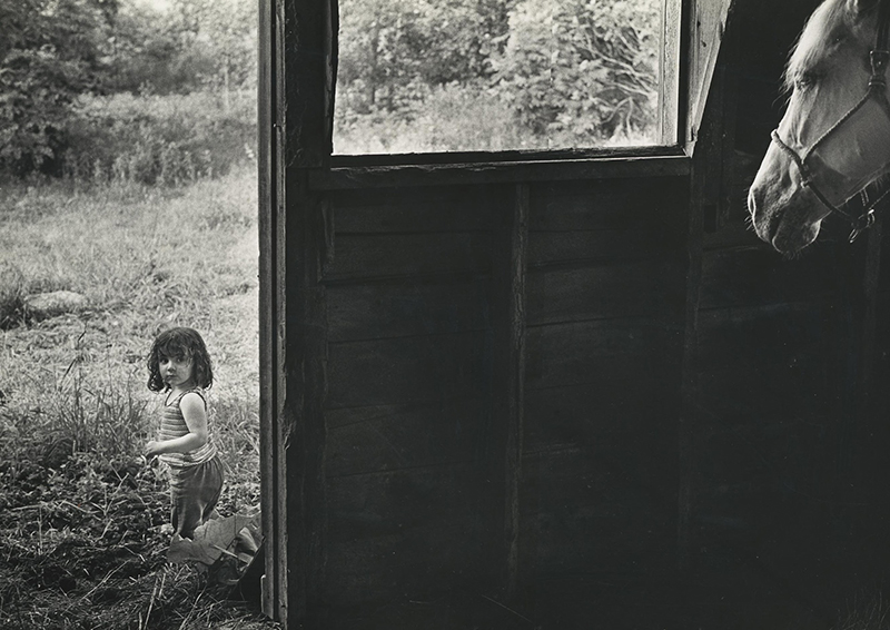 From the Stable © by Tod Bryant From the Stable © by Tod Bryant