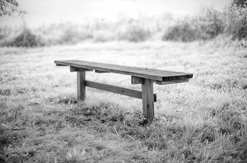 Bench Series, #7 © by Allan Weitz Bench Series, #7 © by Allan Weitz