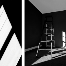 D1 © by Tresha Glenister