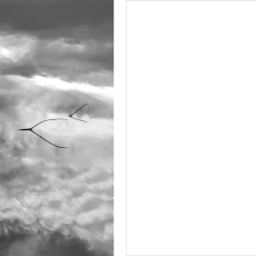 D2 © by Tresha Glenister