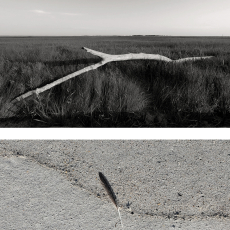 D5 © by Tresha Glenister
