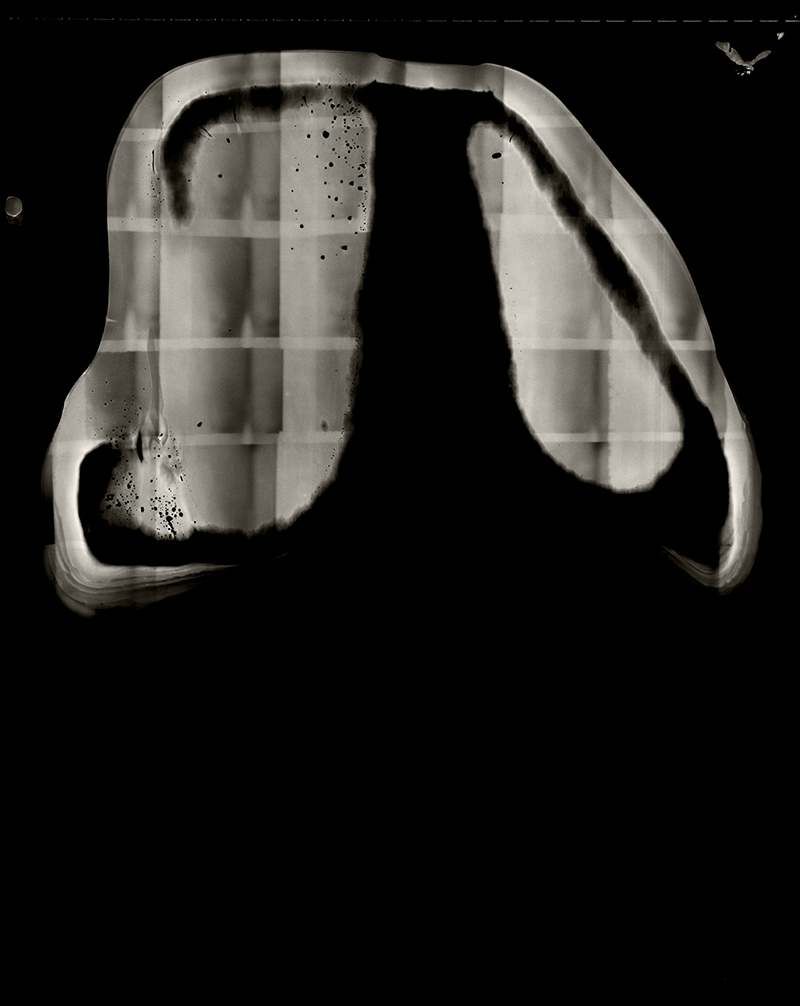 Cells (Thigh), © Atsuko Morita Archival digital inkjet print 22" x 17” $1000.00